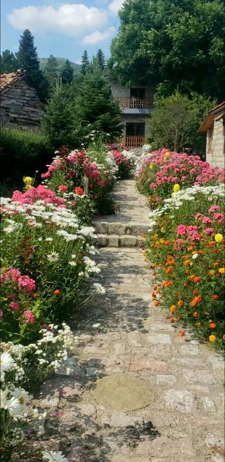 Bed and Breakfast Bujtina Shkodrani Воскопоя Экстерьер фото